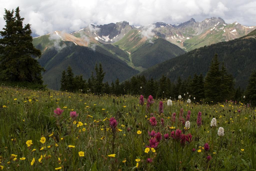 Ouray Chalet Inn Экстерьер фото